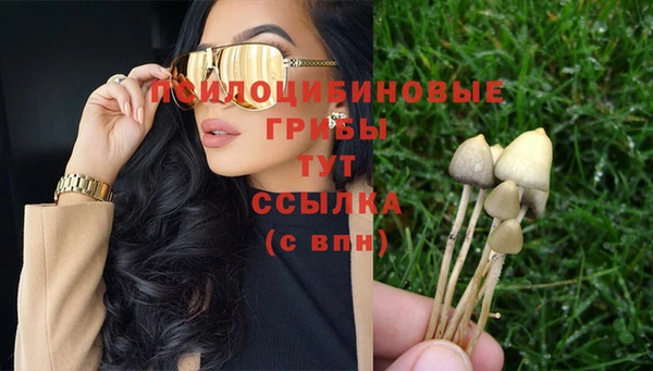 mdma Дмитров