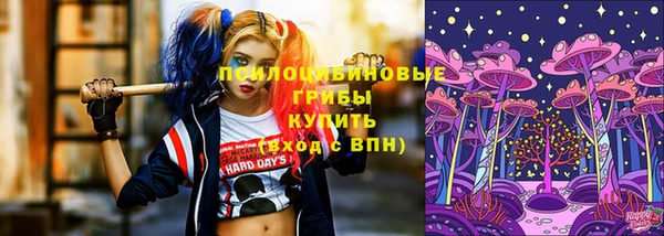 mdma Дмитров