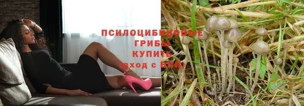 mdma Дмитров